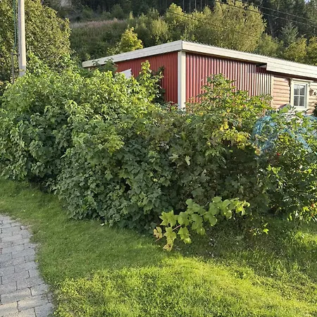 Feriehus Traditional In Lofoten - Seaside On A Secluded Street Vestvagoy