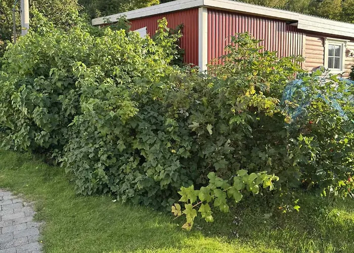 펜션 Traditional In Lofoten - Seaside On A Secluded Street Vestvagoy